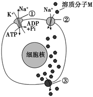 菁優(yōu)網(wǎng)