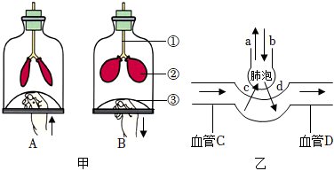 菁優(yōu)網(wǎng)