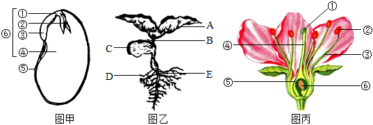 菁優(yōu)網(wǎng)