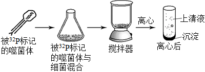 菁優(yōu)網