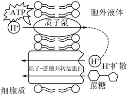 菁優(yōu)網(wǎng)