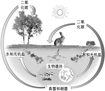 菁優(yōu)網