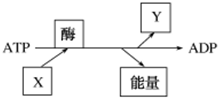 菁優(yōu)網(wǎng)