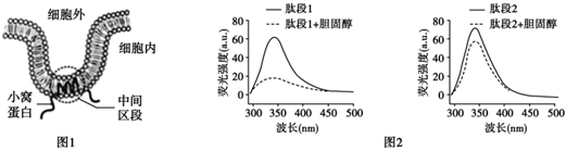 菁優(yōu)網