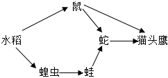 菁優(yōu)網(wǎng)