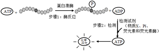 菁優(yōu)網