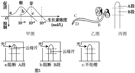 菁優(yōu)網(wǎng)