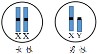 菁優(yōu)網