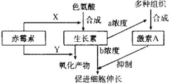 菁優(yōu)網(wǎng)