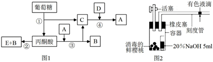 菁優(yōu)網(wǎng)