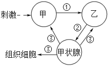 菁優(yōu)網(wǎng)