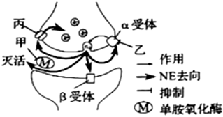 菁優(yōu)網(wǎng)