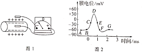 菁優(yōu)網(wǎng)