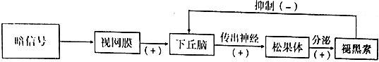 菁優(yōu)網(wǎng)