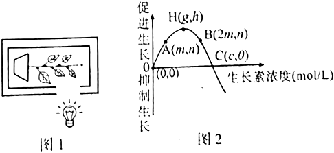 菁優(yōu)網(wǎng)