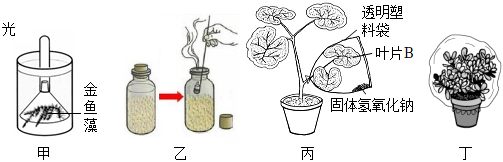 菁優(yōu)網(wǎng)