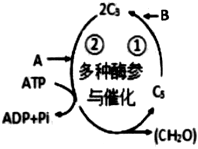 菁優(yōu)網(wǎng)