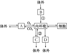 菁優(yōu)網(wǎng)