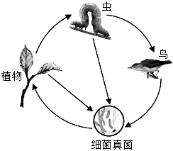 菁優(yōu)網(wǎng)