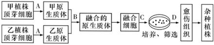 菁優(yōu)網(wǎng)