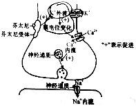 菁優(yōu)網(wǎng)