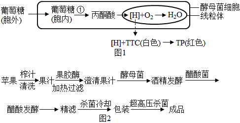 菁優(yōu)網