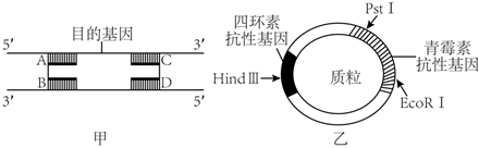 菁優(yōu)網(wǎng)