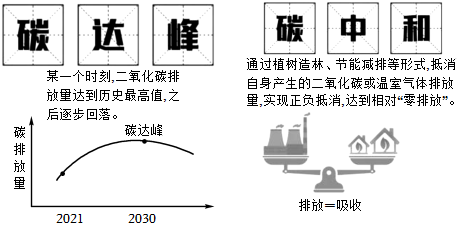 菁優(yōu)網