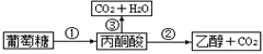 菁優(yōu)網