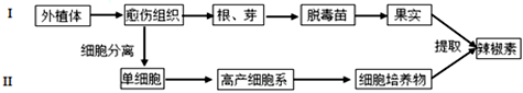 菁優(yōu)網