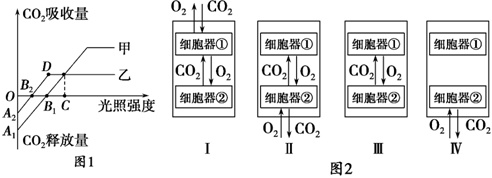 菁優(yōu)網(wǎng)