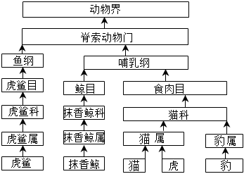 菁優(yōu)網