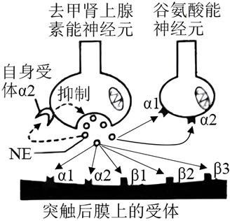 菁優(yōu)網