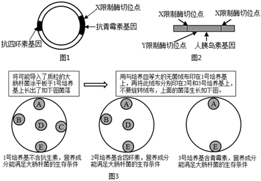 菁優(yōu)網