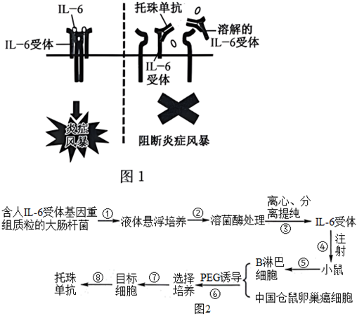 菁優(yōu)網