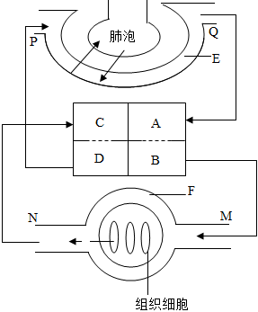 菁優(yōu)網(wǎng)