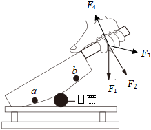 菁優(yōu)網(wǎng)