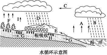 菁優(yōu)網