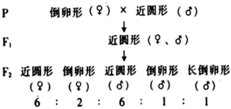 菁優(yōu)網