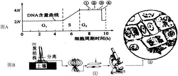 菁優(yōu)網(wǎng)