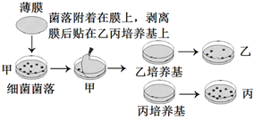 菁優(yōu)網(wǎng)