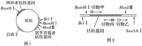 菁優(yōu)網