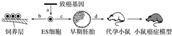 菁優(yōu)網