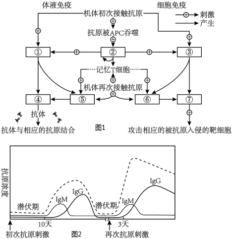 菁優(yōu)網