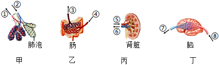 菁優(yōu)網(wǎng)