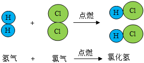 菁優(yōu)網