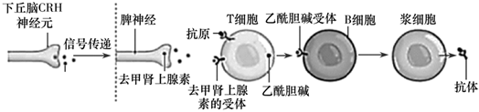 菁優(yōu)網