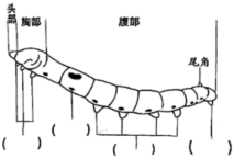 菁優(yōu)網