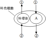 菁優(yōu)網(wǎng)