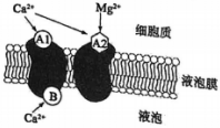 菁優(yōu)網